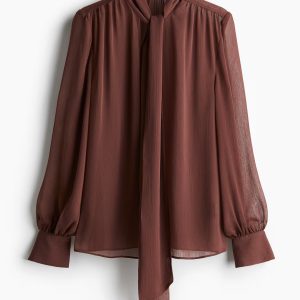 H&M Tie-Neck Chiffon Blouse