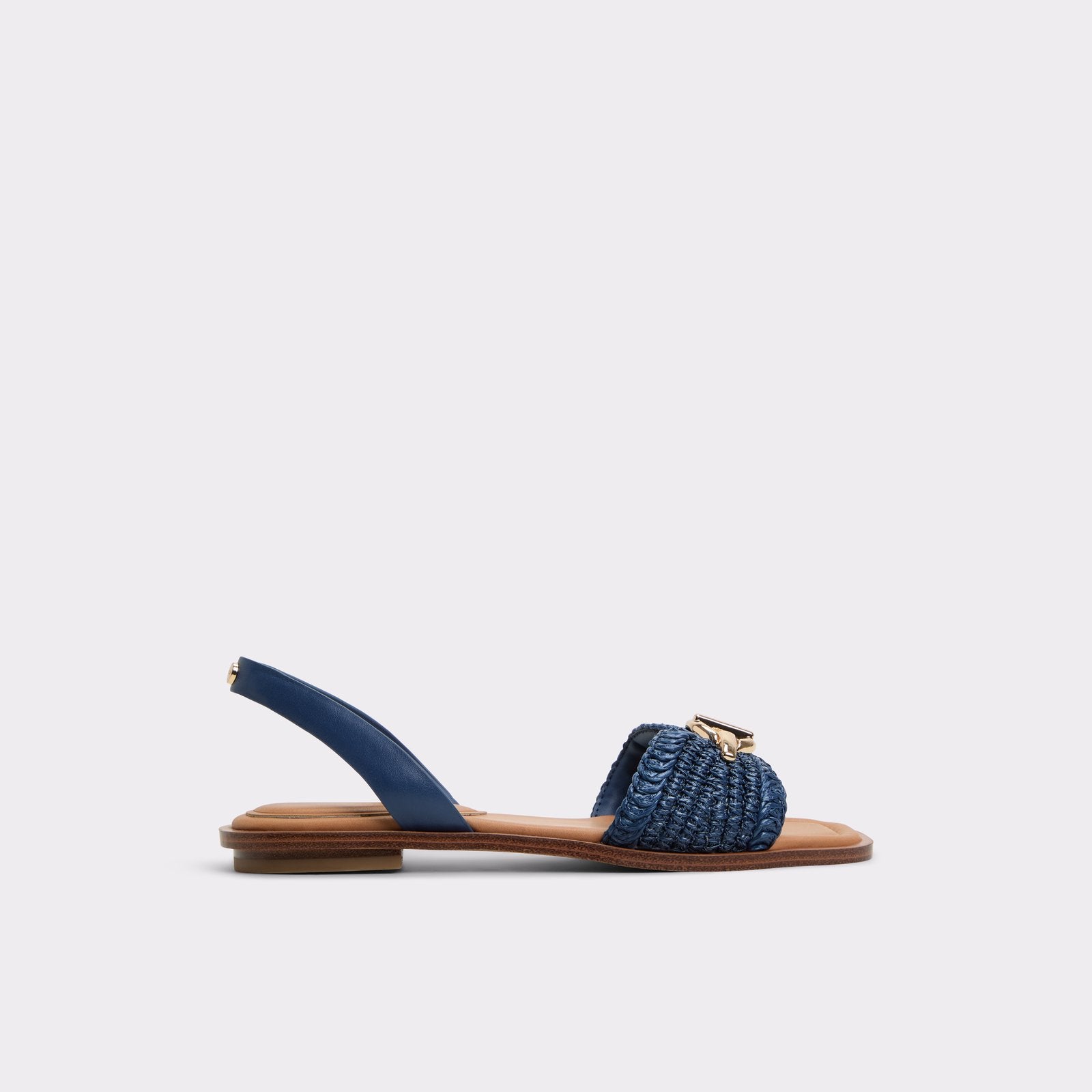 ALDO Goassi Flat sandal