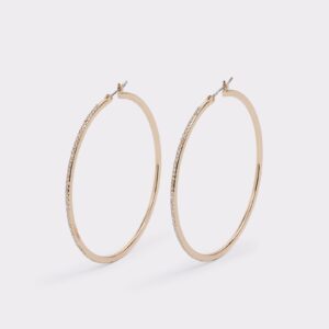 ALDO Eryri Hoop earrings