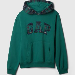 GAP VintageSoft Striped Logo Hoodie