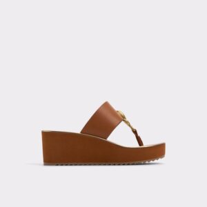 ALDO Penelopy T-strap sandal